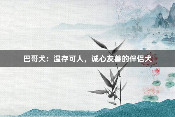 巴哥犬:温存可人,诚心友善的伴侣犬